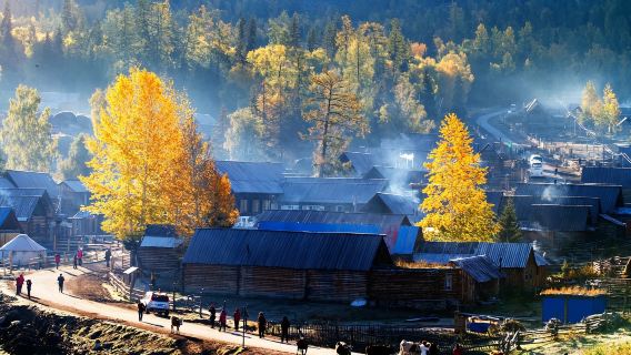 【新疆北疆天花板·冬季⑦日環線】開局即王炸！穿越林海雪原！