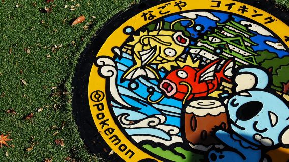 Nagoya Walking Tour Experience