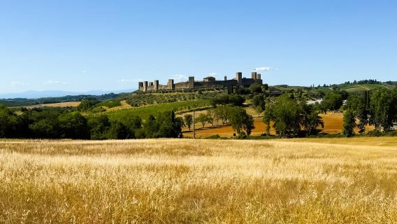 Incantevoli castelli del Chianti e tour enologico per piccoli gruppi