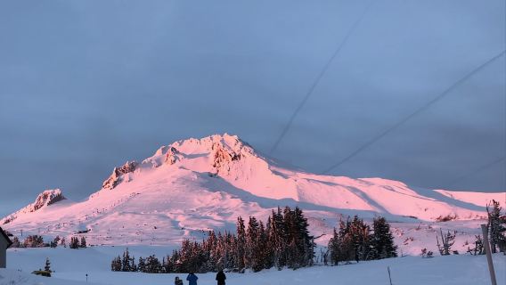 From Portland: Waterfalls, Mt Hood, and Wine Day Tour