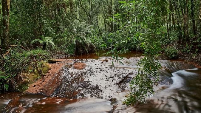 Kanching Waterfalls, Batu Caves and Ramayana Cave - Half-Day Tour