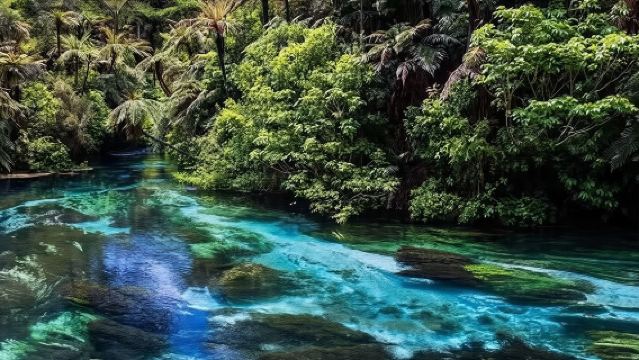 陶波湖+胡卡瀑布+懷歐塔普地熱公園+藍泉一日遊含門票