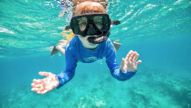 Morning Half Day Cruise from Providenciales with Snorkeling and Iguana Island