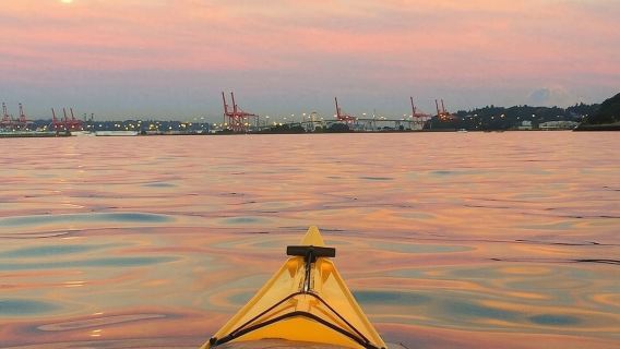 Seattle: West Seattle Sunset Sea Kayak Tour
