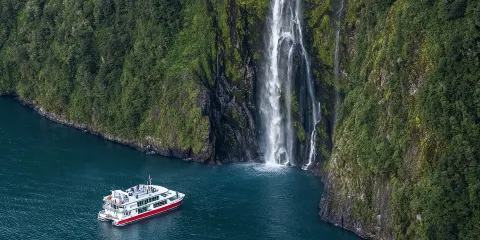 皇后鎮出發:米爾福德桑德巴士及郵輪之旅(全景觀光)