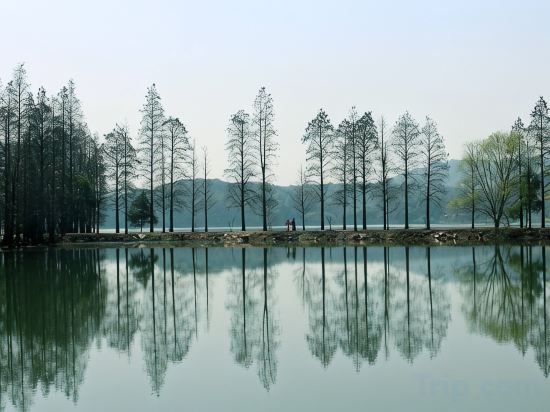 Others 5, Xingfu Town Lakeside Hotel (Hubei University Branch), Wuhan