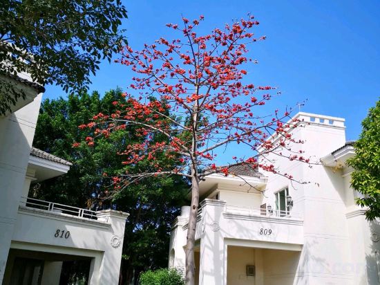 Others 3, Huizhou Lakefacing Resort Co.Ltd, Huizhou