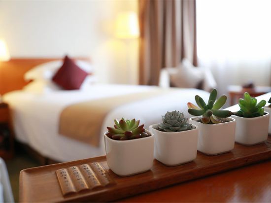 Jinglun Hotel Room Type - Deluxe Queen Room