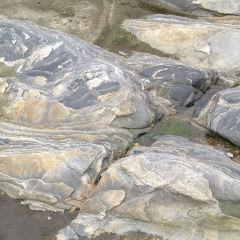 画石谷农庄 ảnh của người dùng