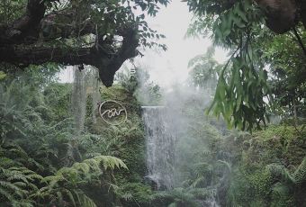 Chom Cafe and Restaurant User Photo