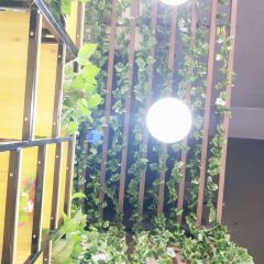 Yan Chun Lou User Photo