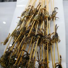 小宋城張用戶圖片