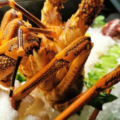 #8 HOTPOT CHINESE RESTAURANT User Photo
