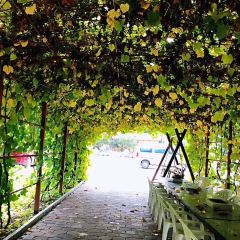 老村长农家院(连鞍线分店) User Photo