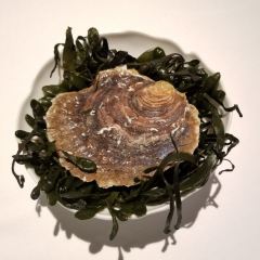 Geranium張用戶圖片
