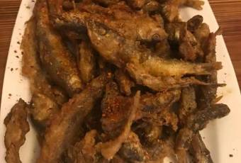 柞水土菜馆(营盘镇朱家湾店) user photo