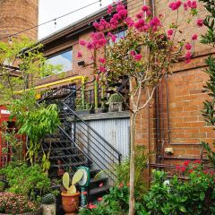 The Grounds of Alexandria User Photo