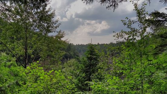 長白山國家地質公園以火山地質地貌遺迹為主。長白山地區不僅是東