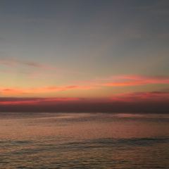 Rory's Beach Bar User Photo