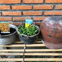 Bali Asli User Photo