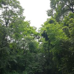 黃南武陽朗辣子雞張用戶圖片