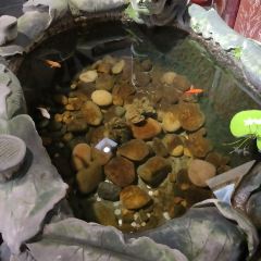 大院坝禅修民宿(黄龙溪古镇店) User Photo