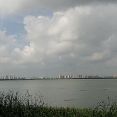 Yi Feng Court User Photo