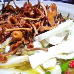 奇味轩休闲庄 User Photo