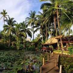 MANDA de LAOS User Photo