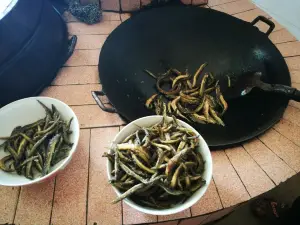 ZI QUE JIE TU CAI GUAN