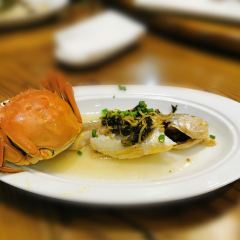 Pipaxiaozhu User Photo