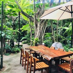 Khaomao - Khaofang Restaurant Maesot 여행 사진