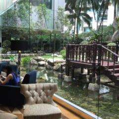 Serena Brasserie User Photo