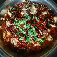 金秋食府 User Photo