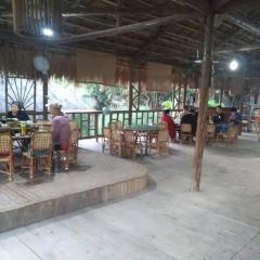 Sunbaimaolvtangguo (jinghongfen) User Photo