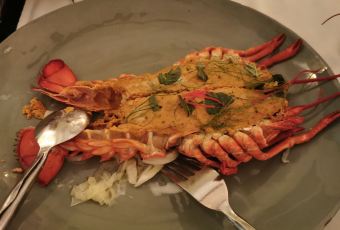 Issaya Siamese Club User Photo