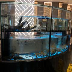 EAST OCEAN·VICTORIA CITY RESTAURANT ảnh của người dùng