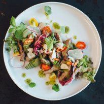 Dose Factory User Photo