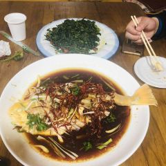 山茶花农家院 User Photo