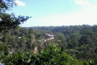 The Sayan House User Photo