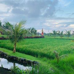 Bebek Joni Restaurant User Photo