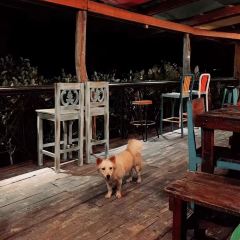 Bohol Bee Farm Resort User Photo