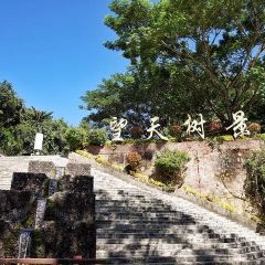 热带雨林望天树景区 User Photo