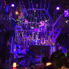 THE FOREST LIVE MUSIC ảnh của người dùng