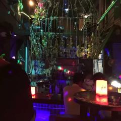 THE FOREST LIVE MUSIC ảnh của người dùng