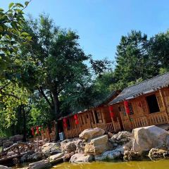 老村长农家院(连鞍线分店) User Photo