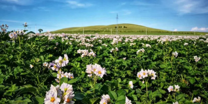 福源之星農家院