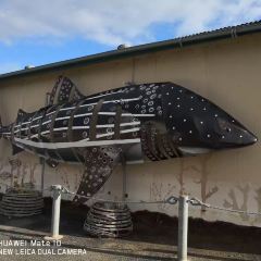 Apollo Bay Fishermen's Co-op張用戶圖片