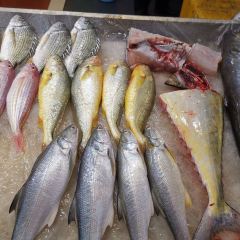 海濱賓館·醉海樓張用戶圖片