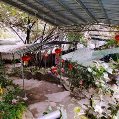 竹苑山庄 User Photo